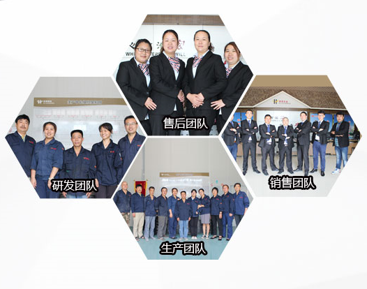 Professional team collaboration